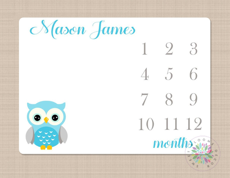 Owls Baby Blanket Blue Gray Owls Baby Boy Milestone Monogram Blanket Personalized Blanket Name Blanket Newborn Blanket Baby Shower Gift B429