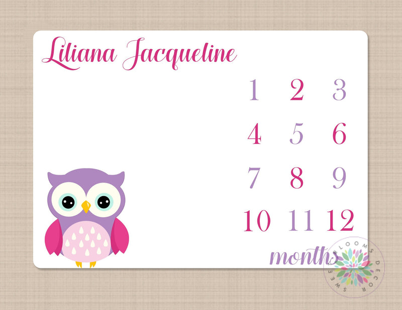 Owls Baby Milestone Blanket Purple Pink Owls Baby Girl  Monogram Personalized Blanket Name Blanket Newborn Blanket Baby Shower Gift 427