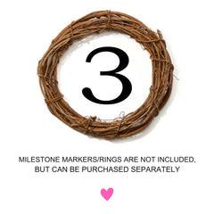 Milestone Blanket Girl Floral Wreath Coral Pink Blush Floral Personalized Newborn Baby Girl Watercolor Flowers Baby Shower Gift B887